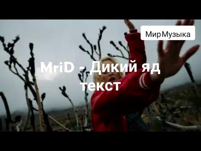 MriD - Дикий яд Текст песни Мир Музыка    #MriD  #Дикийяд #Текстпесни #МирМузыка