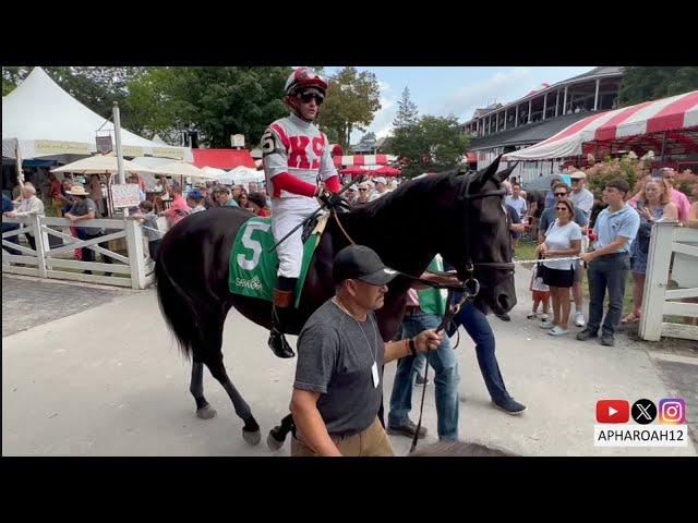 Kentucky Derby Contenders Domestic Product and Just Steel Compete at Saratoga