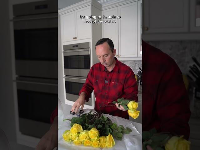 How to Make Cut Roses Last Longer