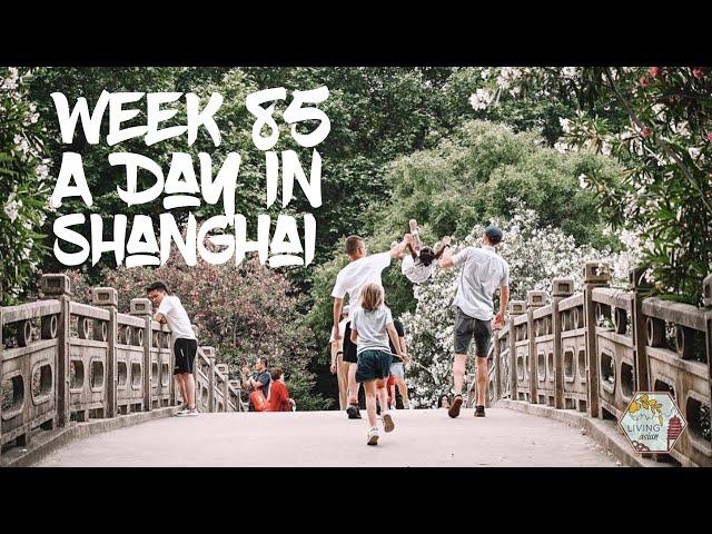 Week 85: A Day in Shanghai 上海的一天, - Living Asian (Expat Journey)