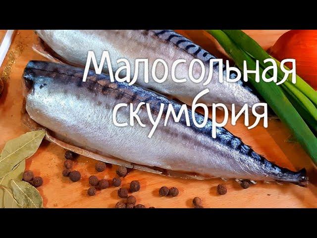 Малосольная скумбрия !!! Рецепт-бомба ! Все Просто !