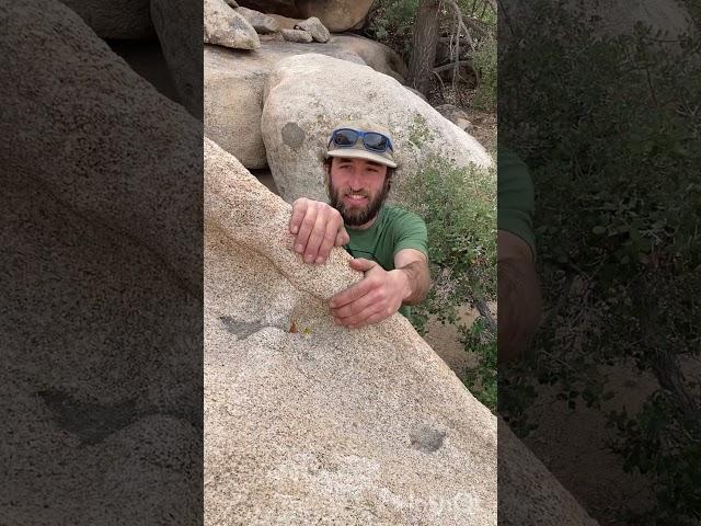 Meet Our Guide - Alex Moss