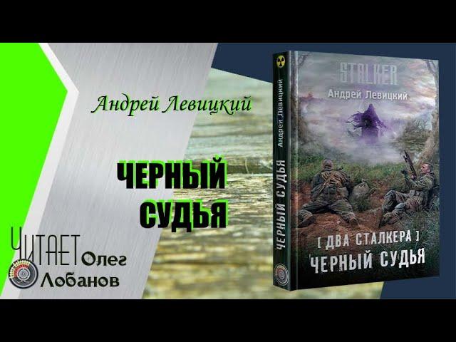 Андрей Левицкий. Черный Судья.  Серия S.T.A.L.K.E.R.  Цикл Два сталкера.