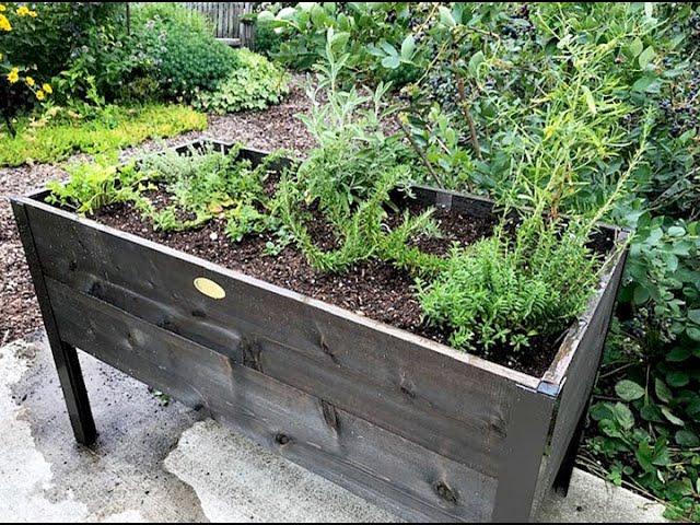 Elevated Garden Planter: Everyone Can Grow a Garden (2020) #31