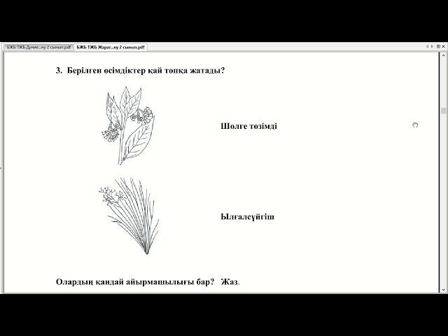 ТЖБ Жаратылыстану 2-сынып 1-тоқсан Жауаптары