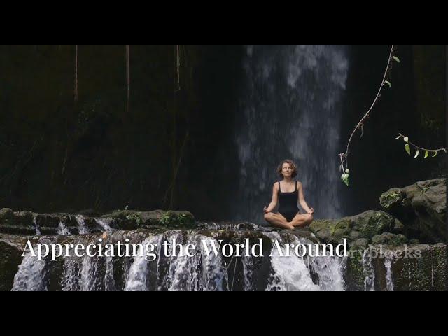 Mindfulness & Meditation: A Beginner's Journey | 9 Sections