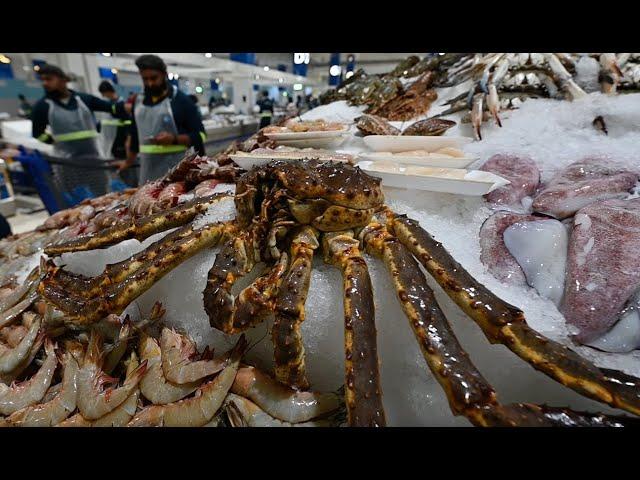 The largest fish market in Dubai ( Dubai Waterfront Market)