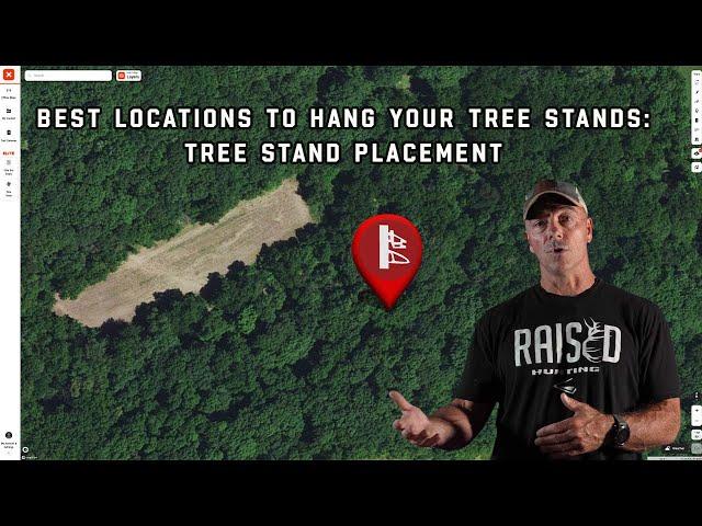 Best Locations To Hang Your Tree Stands: Tree Stand Placement