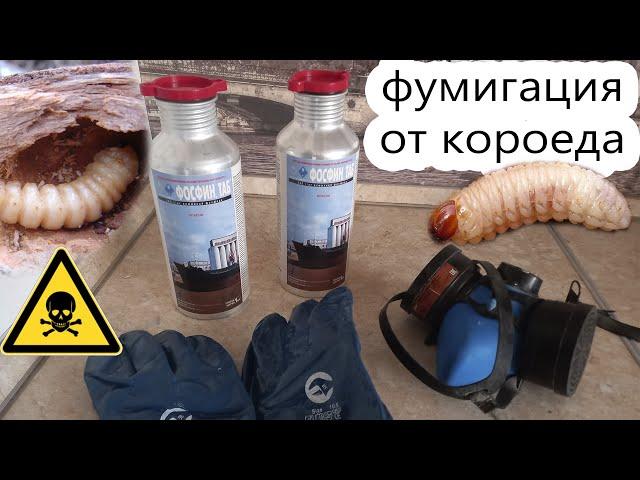 Фумигация от короеда и всех остальных вредителей / чем уничтожить короеда