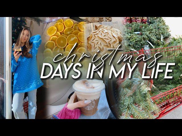 DAYS IN MY LIFE | Trader Joe’s haul, baking Christmas sourdough, life chats, & cozy Christmas times!