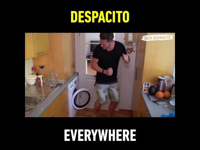 Despacito Song  Everywhere!