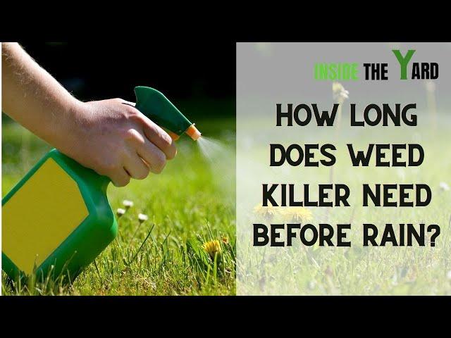 [Watch Now] How Long Does Weed Killer Need Before Rain- Our Experts Answer!