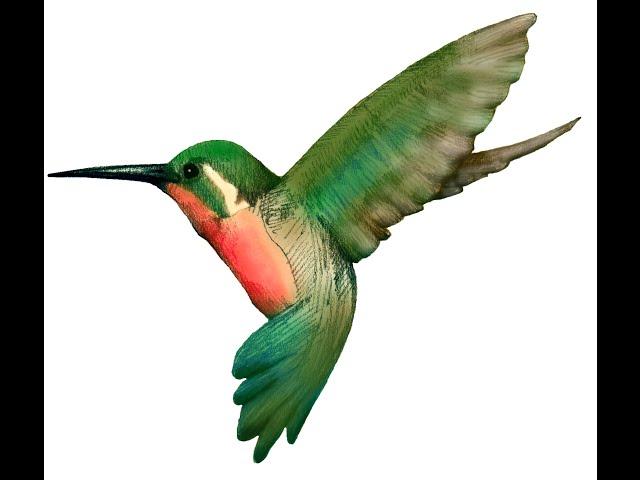 E. Magalif "COLIBRI" [Hummingbird] for Flute & String Orchestra