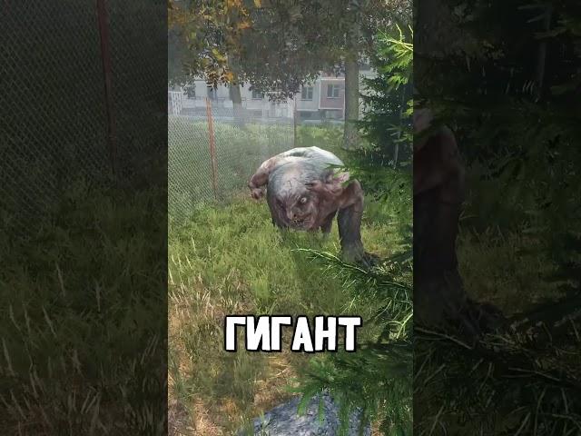 Самые сильнейшие Мутанты в #dayz #stalkerrp