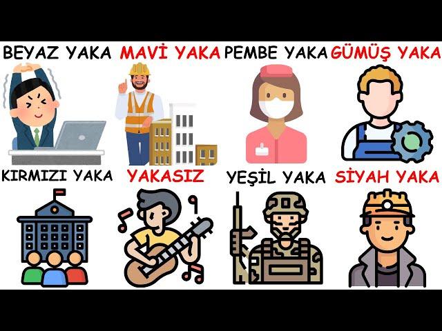 5 Dakikada Tüm Yakalar (Kim Bu Beyaz Yakalılar?)