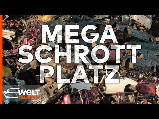 CASH AUS SCHROTT! Goldgrube Schrottplatz: Die lukrative Welt des Recyclings | WELT DRIVE DOKU