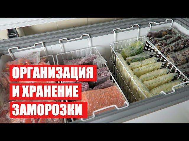 ОРГАНИЗАЦИЯ и ХРАНЕНИЕ ЗАМОРОЗКИ   ХРАНЕНИЕ В МОРОЗИЛЬНОЙ КАМЕРЕ  часть 1 Cветлана Бисярина