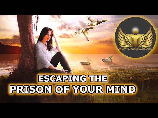 Escaping the Prison of the Mind