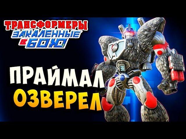 ПРАЙМАЛ ОЗВЕРЕЛ! В КОНЕЦ!!! Трансформеры Закаленные в Бою Transformers Forged To Fight ч.249