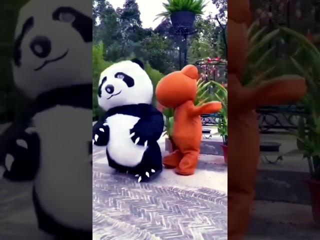 Cute funny panda  #shorts #viral #ytshorts