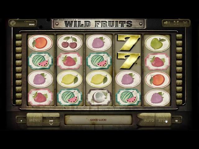 Wild Fruits Slot Video Review by NewCasinos.org