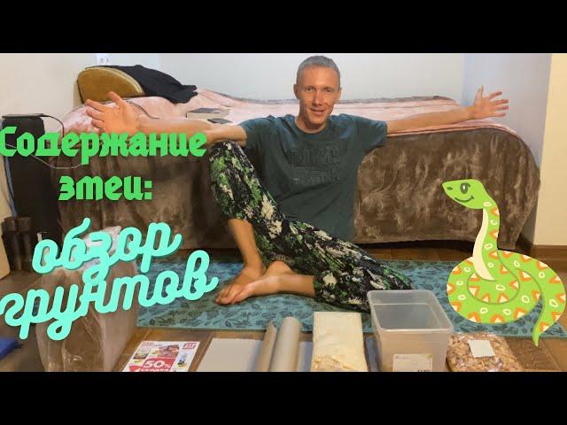 Лучший грунт для содержания змеи? Подробный обзор.