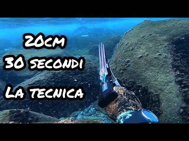 Pescasub in 20cm d'acqua e 30 secondi