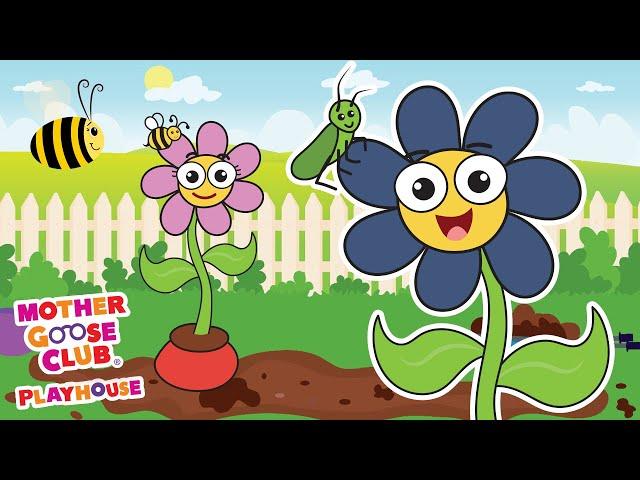 Flower Finger Family | Mother Goose Club Nursery Rhyme Cartoons