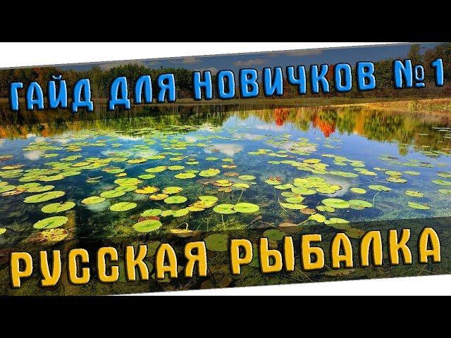 РУССКАЯ РЫБАЛКА 4 ГАЙД ДЛЯ НОВИЧКОВ - ЧАСТЬ 1 (RUSSIAN FISHING 4 GUIDE FOR BEGINNERS)