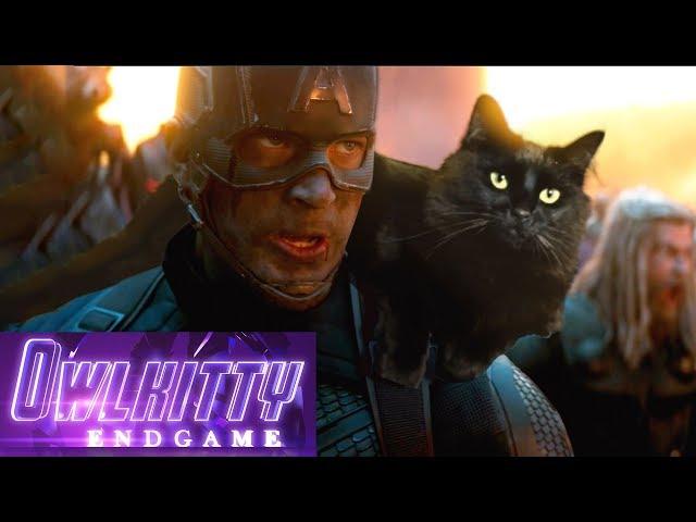 Avengers Endgame with my cat OwlKitty