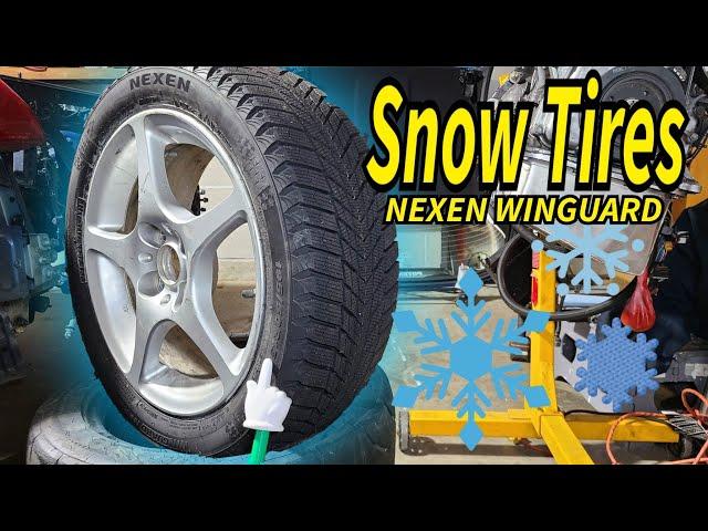 CHEAP Snow Tires for MR-S or Miata | Nexen Winguard Ice Plus review