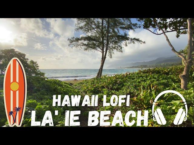 Hawaii LoFi at La'ie Beach| relaxation | study w/ LoFi beats  | Beach waves and Bird sounds