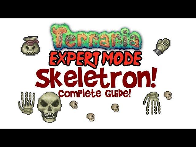 Terraria Skeletron Expert Guide (+Normal too! Boss Fight, Drops, Arena, Clothier Voodoo Doll)