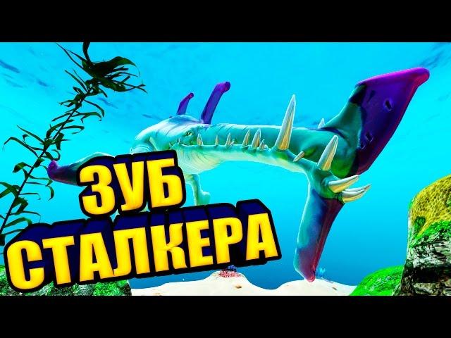 ГДЕ ЛЕГКО НАБРАТЬ 113 ЗУБОВ СТАЛКЕРА! - СМОТРИ БЫСТРЕЕ - Subnautica