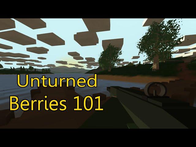 [Unturned] Berries 101