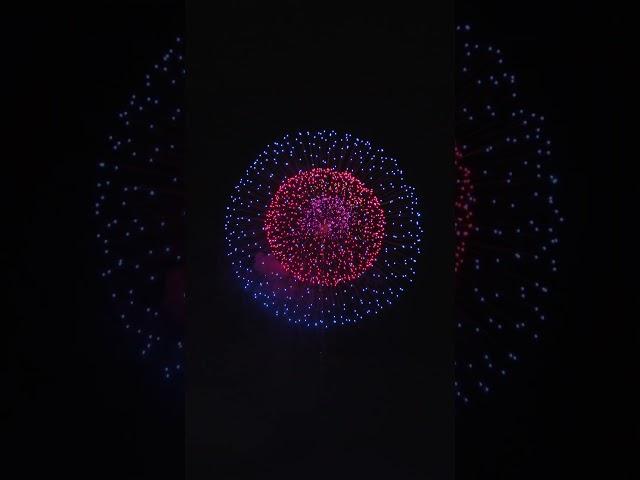 Japanese Artistic 12 inch shell Fireworks Displays - Nagaoka Hanabi 2024 長岡大花火大会 芸術 匠の花火