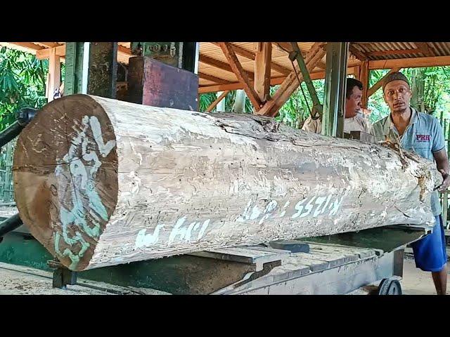 sawing teak logs from the forestry department into wooden blocks full of old and dense fibers