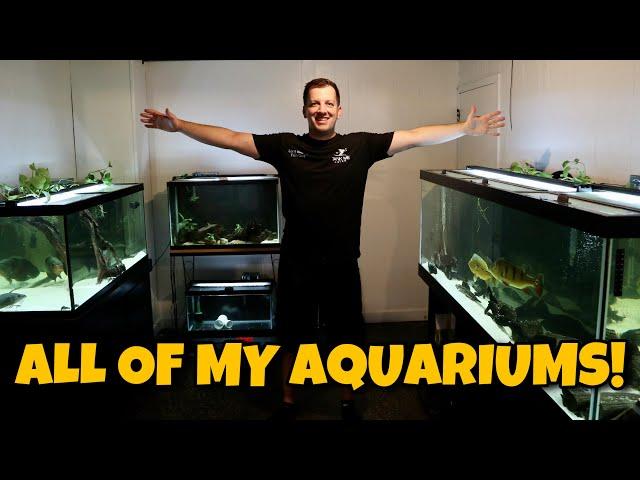 ALL OF MY AQUARIUMS! 220 Gallon Aquarium and Fish Room Updates!