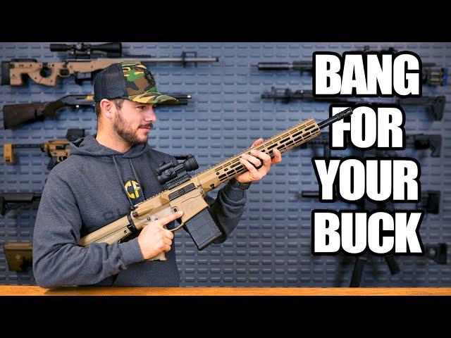 Top 5 Budget AR-10 Rifles