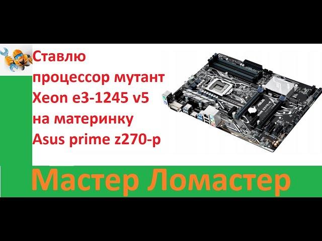 Ставлю процессор мутант Xeon e3 1245 v5 на материнку Asus prime z270 p
