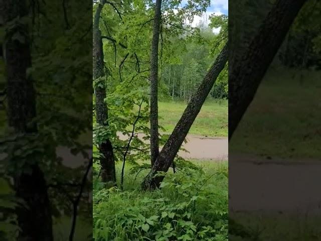 В избе летом