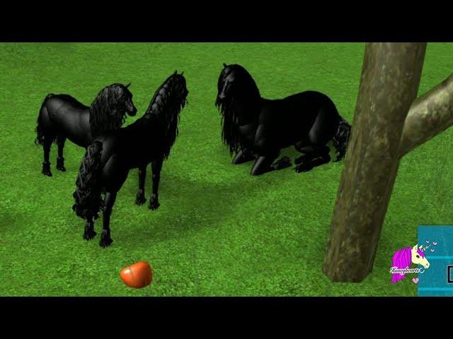 Friesian - Lets Play Roblox Horse Heart Online Horses Game Play Video