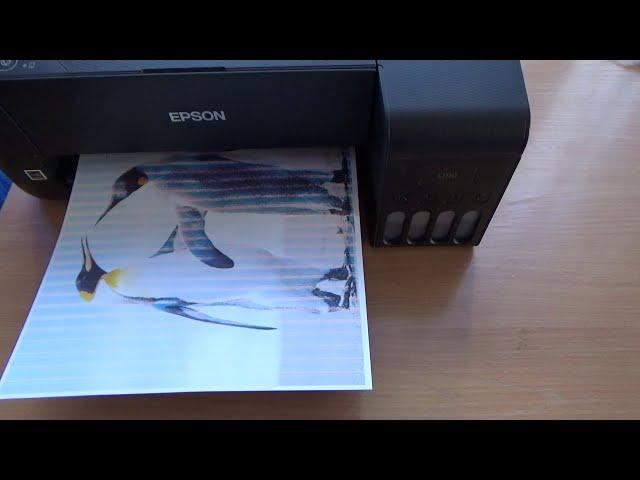 Как починить принтер, если он печатает полосами. На примере EPSON.