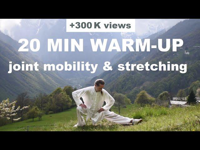 20 MIN TAI CHI WARM UP AND STRETCH - Joint Mobility, Stretching & Relaxation as an Anti Aging System