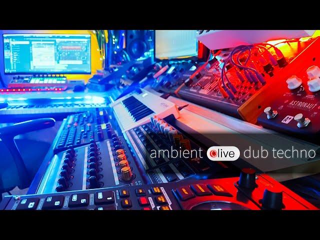 Dub Techno // Ambient // 118 bpm // Analog Synths // Live! [EP-208]