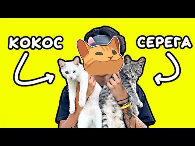 HolyBaam-песня про котят но это бискас @HolyBaam @wicsur