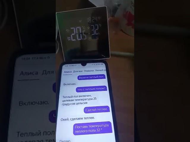 управление терморегулятором через Алису