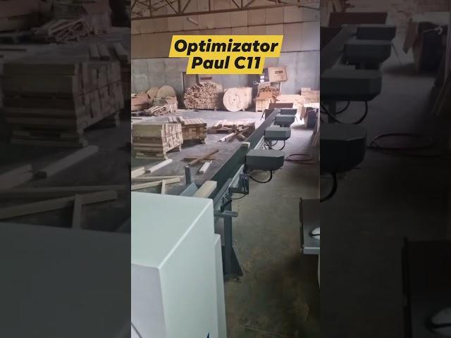 Optimizator cherestea tăiere transverală Paul Maschinenfabrik C11