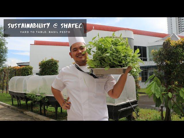 From Yard To Farm: Basil Pesto