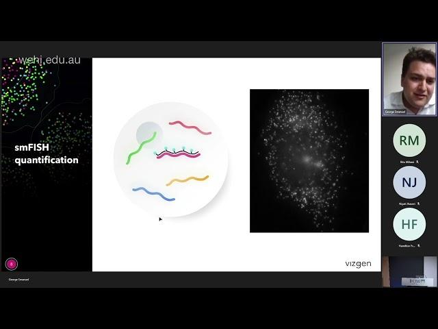 Emanuel G: Exploring the spatial dimension with MERSCOPE